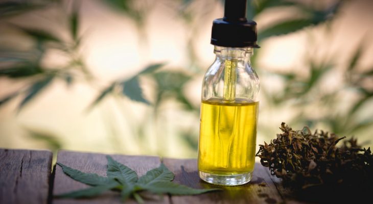 What is the best cbd oil for cats?