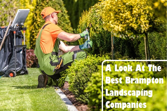A Look At The Best Brampton Landscaping Companies
